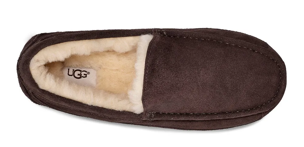 Ascot in Espresso by UGG