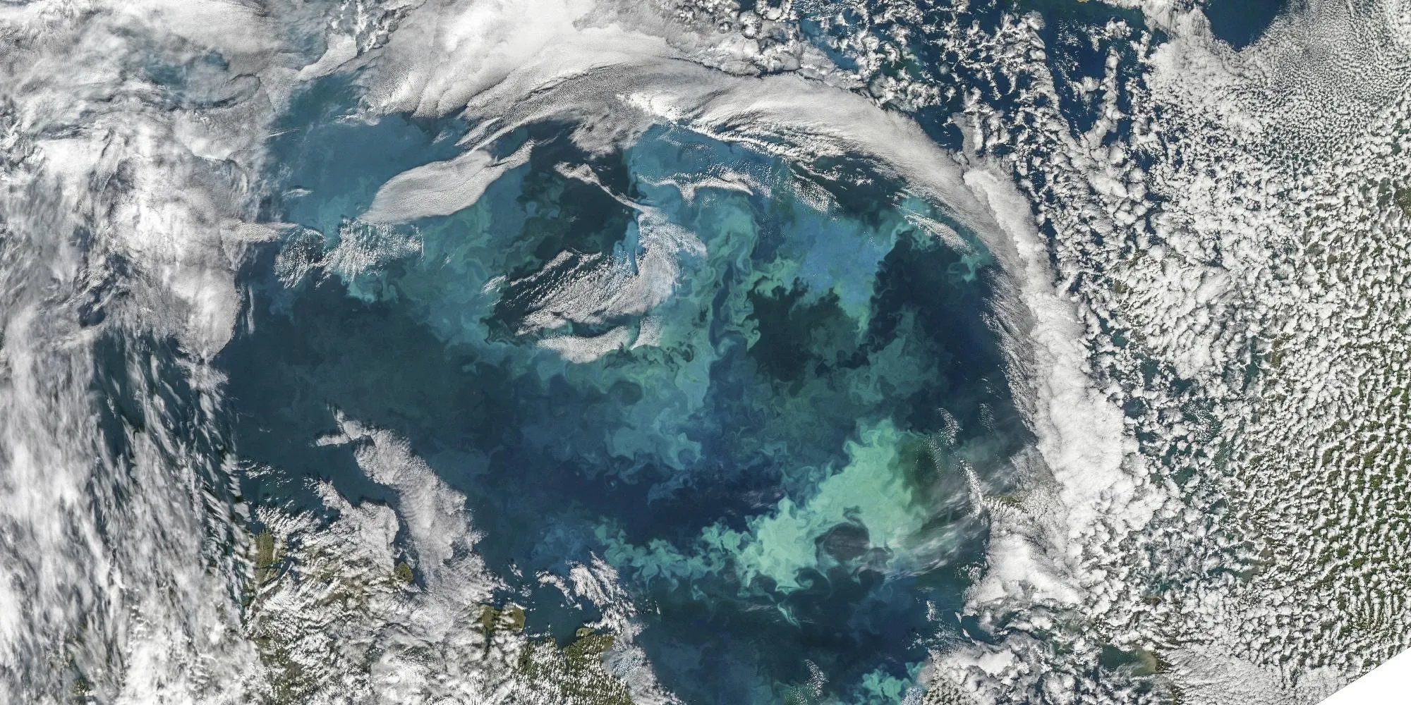 Barents Sea