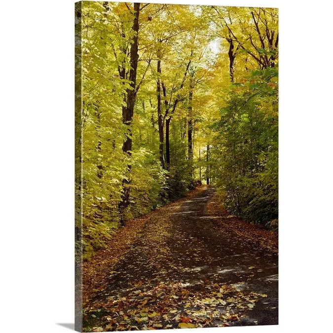 "Autumn leaves falling on trail in forest, Quebec, Canada" Canvas Wall Art