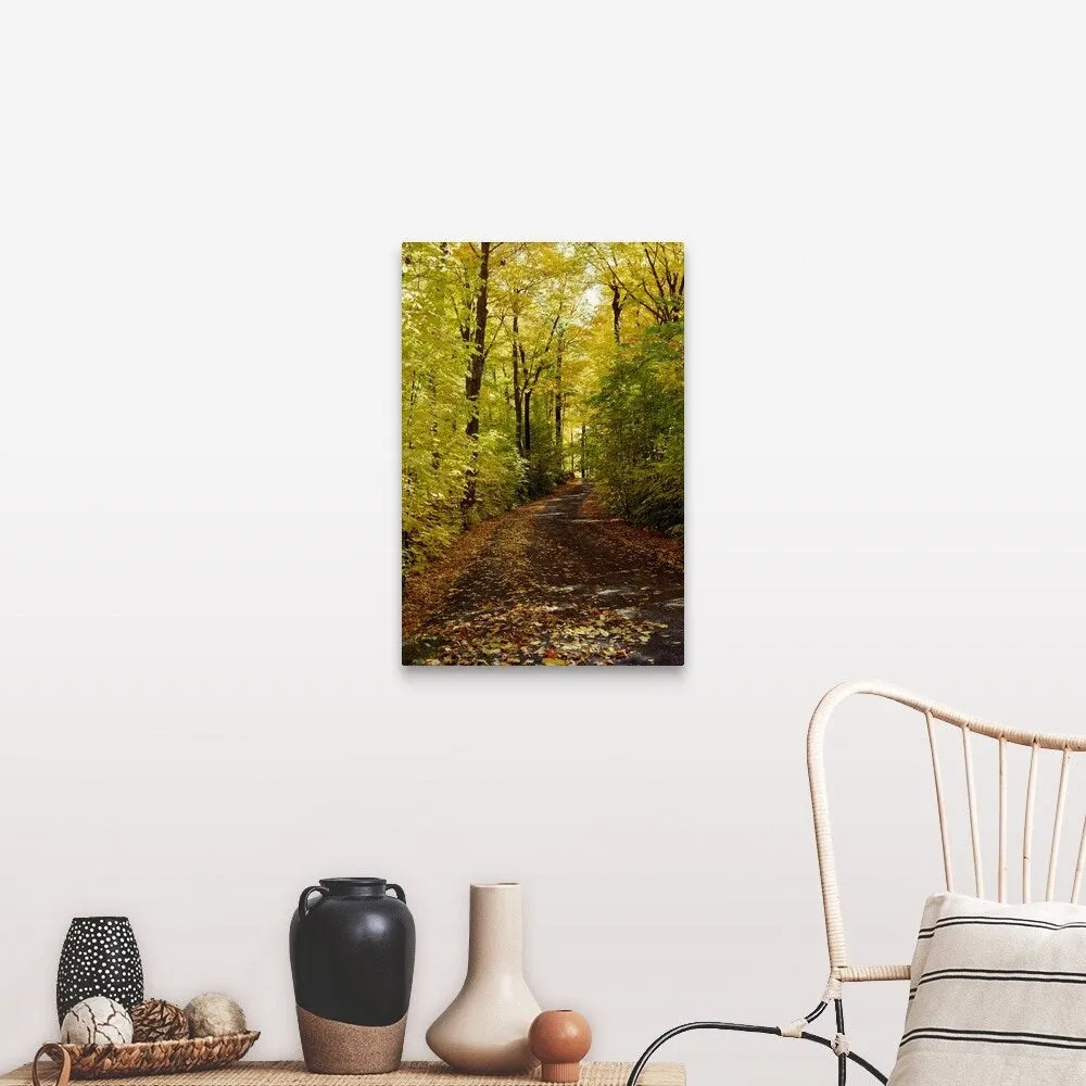 "Autumn leaves falling on trail in forest, Quebec, Canada" Canvas Wall Art