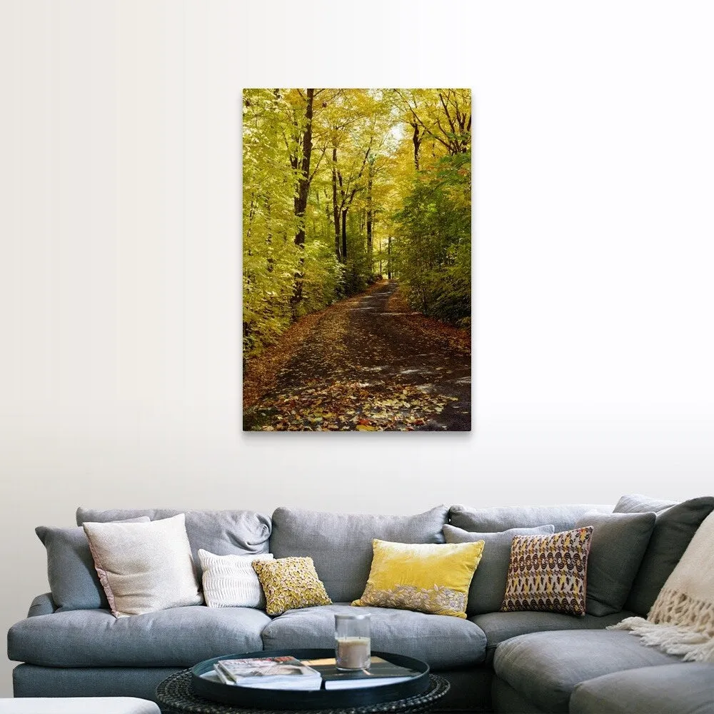 "Autumn leaves falling on trail in forest, Quebec, Canada" Canvas Wall Art