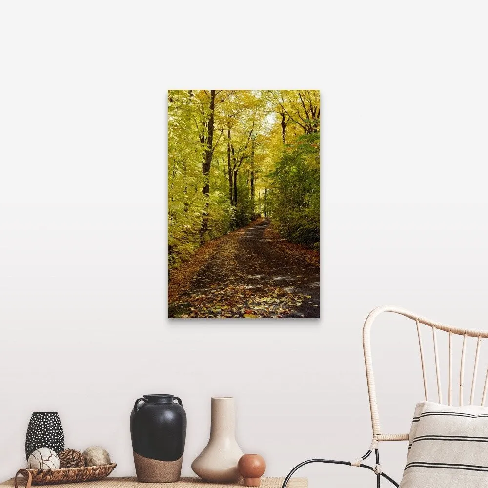 "Autumn leaves falling on trail in forest, Quebec, Canada" Canvas Wall Art