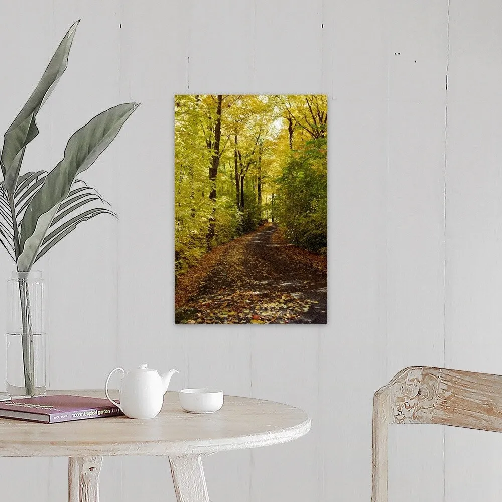 "Autumn leaves falling on trail in forest, Quebec, Canada" Canvas Wall Art