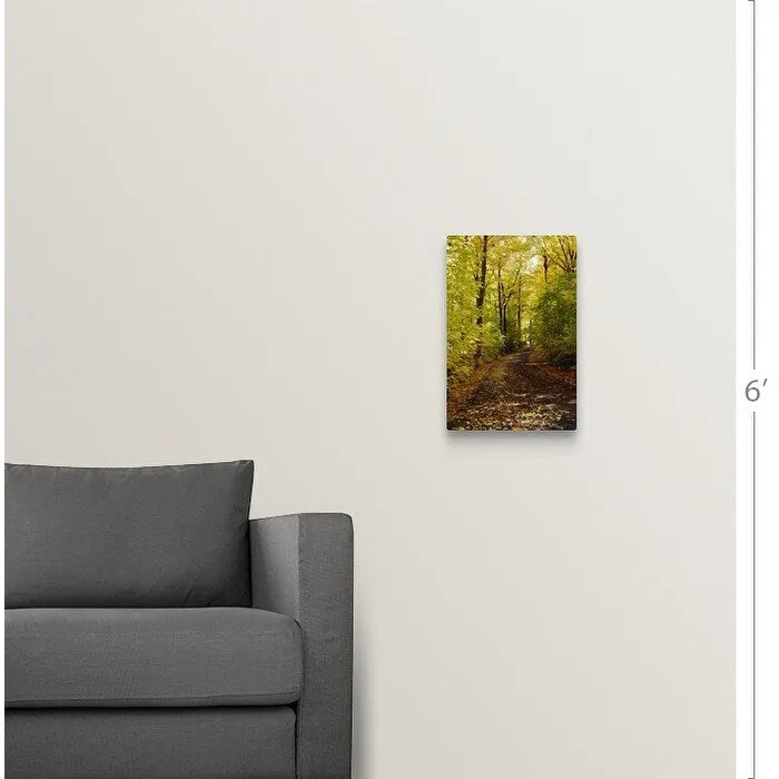 "Autumn leaves falling on trail in forest, Quebec, Canada" Canvas Wall Art