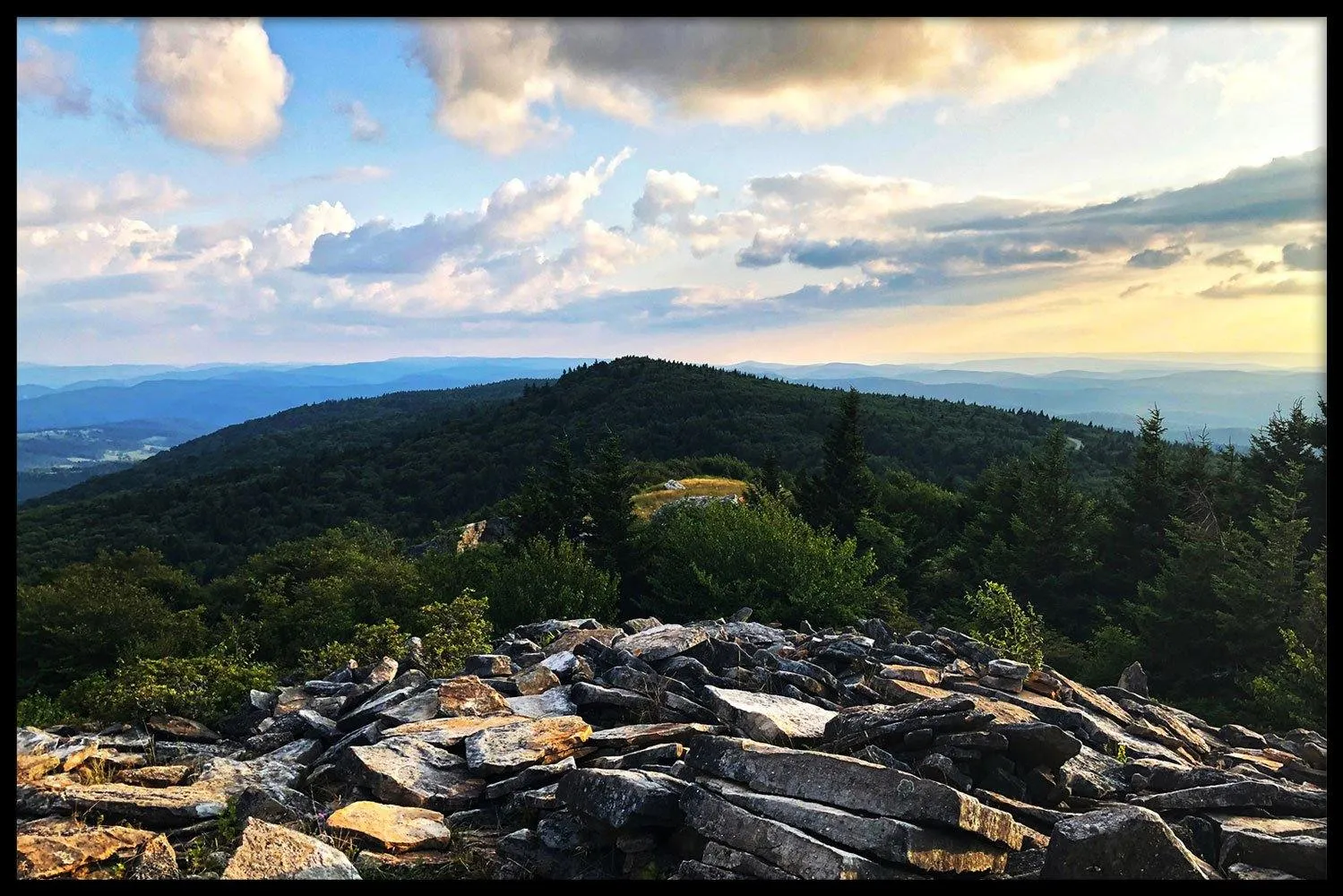 Whispering Spruce Trail